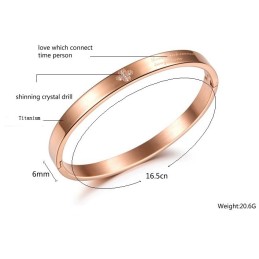 Qualität Und Quantität Gesicherter Weiblicher Titan-Armreif