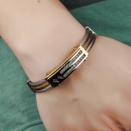 Herrenmode Zirkonia Titan Armband C783
