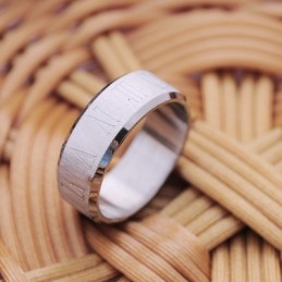 Herren Titanring