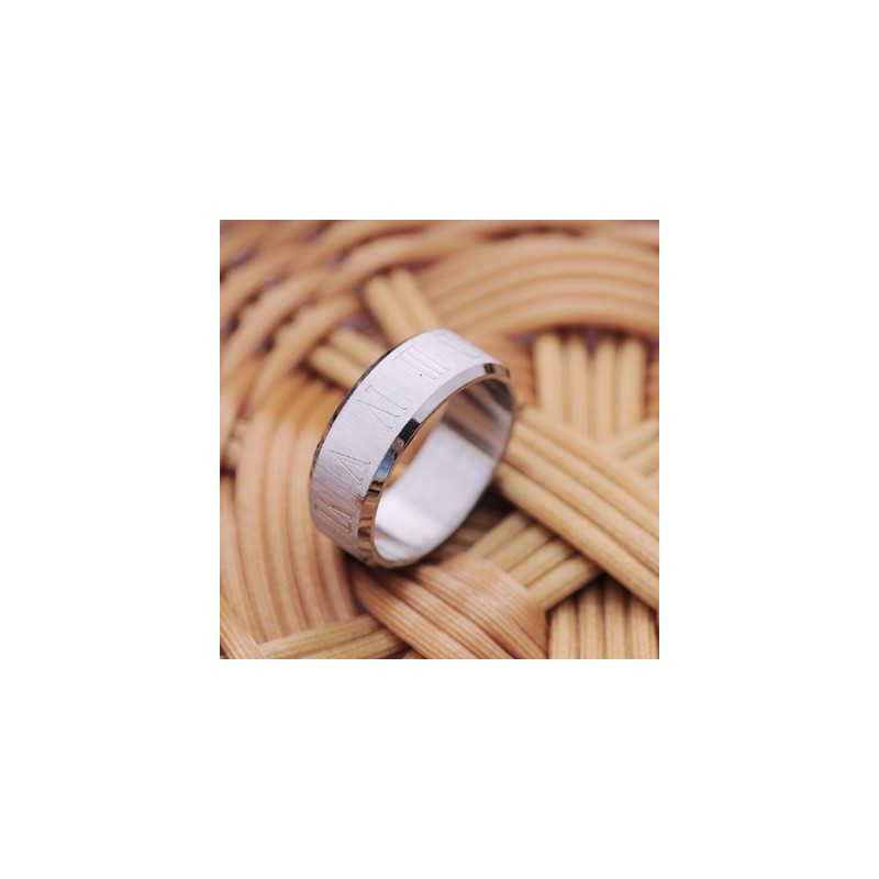 Herren Titanring