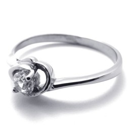 -Titanring Für Damen