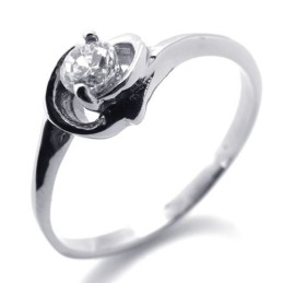 -Titanring Für Damen