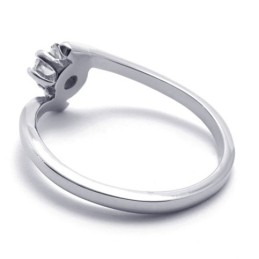 Damen- ring Aus Titan