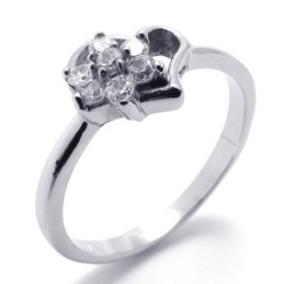 -Titanring