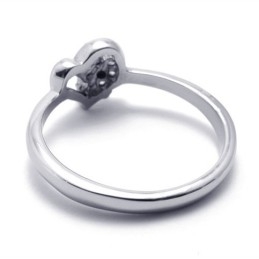 -Titanring