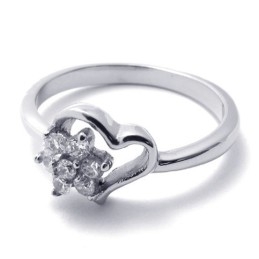 -Titanring