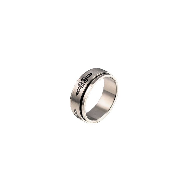 Herren Titanring