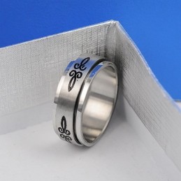 Herren Titanring