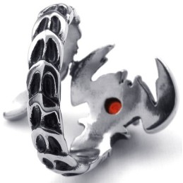 Zur Auswahl Farbbrillanz Zuverlässige Qualität Titanring